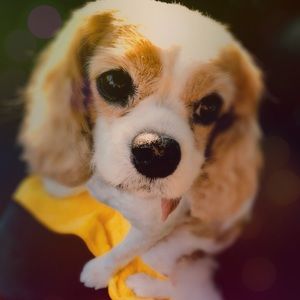 Meet your Posher, Bill